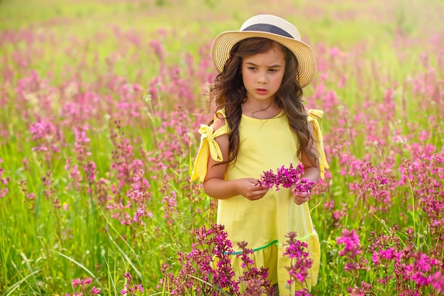 Nadenkend mooi meisje loopt in een bloeiend veld met een boeket bordeauxrode viscaria-bloemen