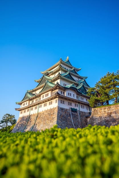 日本の名古屋城と街のスカイライン