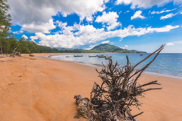 Nai Yang Beach en omgeving / Phuket Thailand