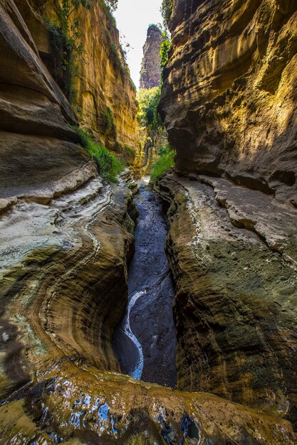 Naivasha Hells Gate National Park canyon full of animals. Kenya Walking or Bike Safari