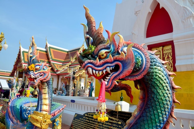 Naka bij Chedi van Phra That Choeng Chum-tempel voor Thaise mensen en reizigers bezoeken en bidden op 16 januari 2016 in Sakon Nakhon, Thailand