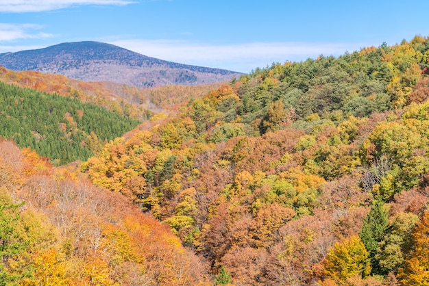 Nakatsugawa Fukushima Autumn