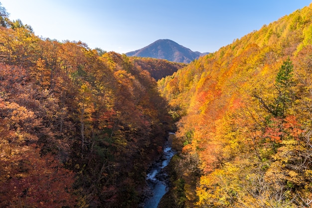 Photo nakatsugawa fukushima autumn