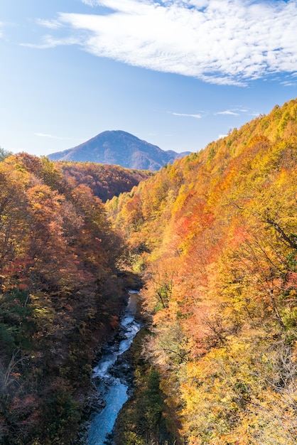 Nakatsugawa fukushima autumn