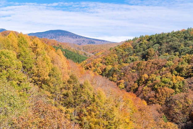 Nakatsugawa Fukushima Autumn