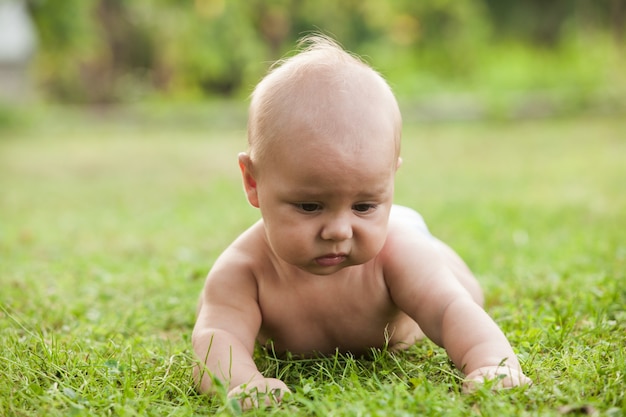 Ragazzino nudo che indossa un pannolino che impara a gattonare sull'erba verde