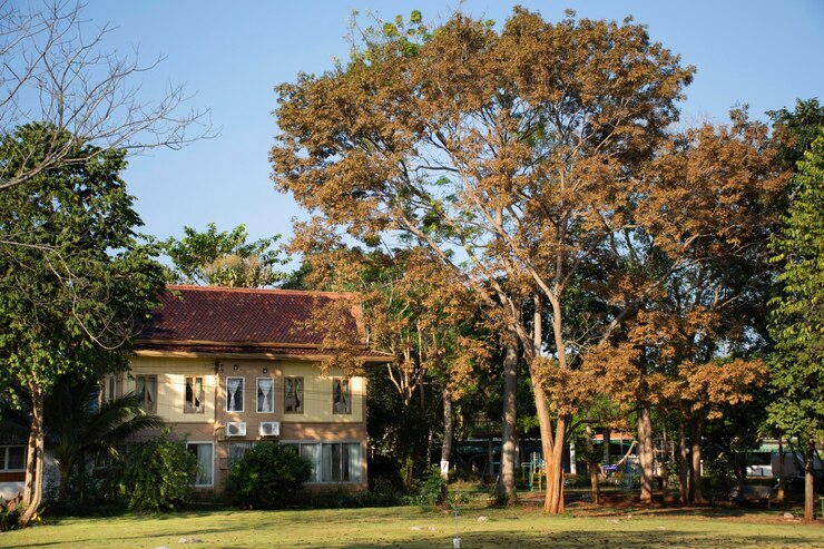 NAKHON RATCHASIMA THAILAND 24 NOVEMBER Gebouwen hotel luxe resort en tuin voor reizigers mensen gebruiken service en rusten in Pak Chong city op 24 november 2018 in Nakhon Ratchasima, Thailand