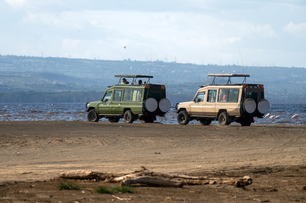 Photo nakuru national park kenya tourists in a safari off road car with an open roof taking photos of wild animals national park in in east africa