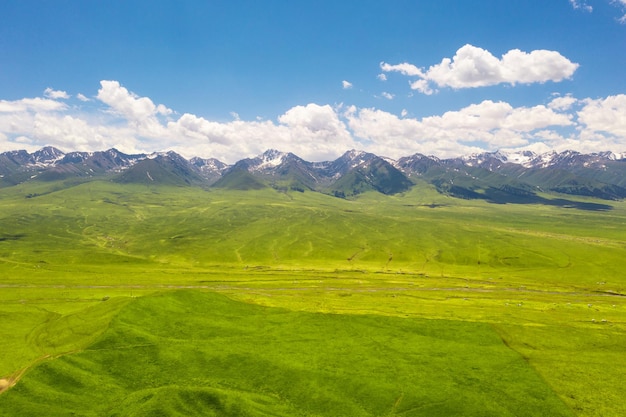 Nalati grassland with the blue sky