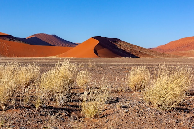 Namib Desert Namibia Africa