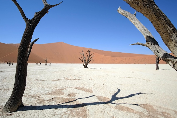Photo namib national park namibia