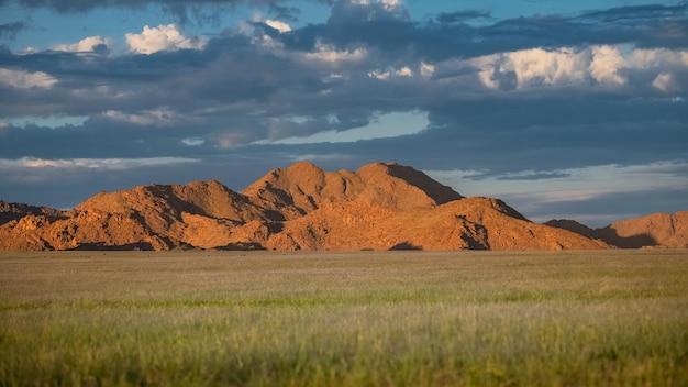 Namibia, landschap van de savanne in de avond, rode rotsen op de achtergrond in de Dode Vallei