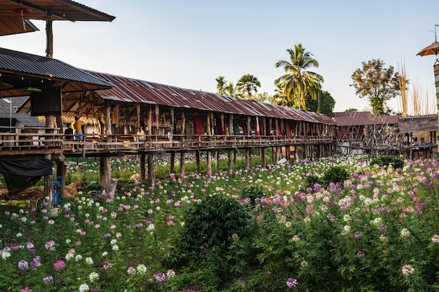 NAN.Thailand- 17 dec 2020:Botanical garden in Ban Tai Lue CafÃ© at pua District nan.Nan is a rural province in northern Thailand bordering Laos