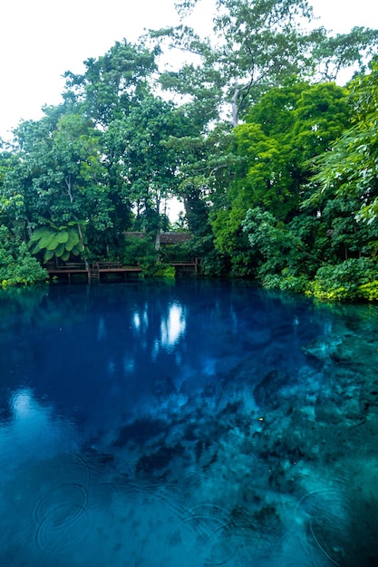 Nanda Blue Hole Espiritu Santo Vanuatu Luganville