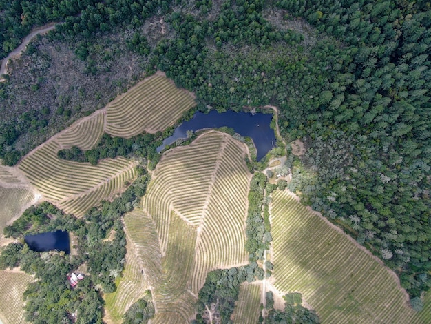 Napa County in California's Wine Country part of the North Bay region of the San Francisco