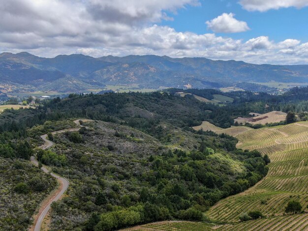 Napa County in het wijnland van Californië