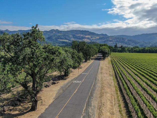 Napa County in het wijnland van Californië