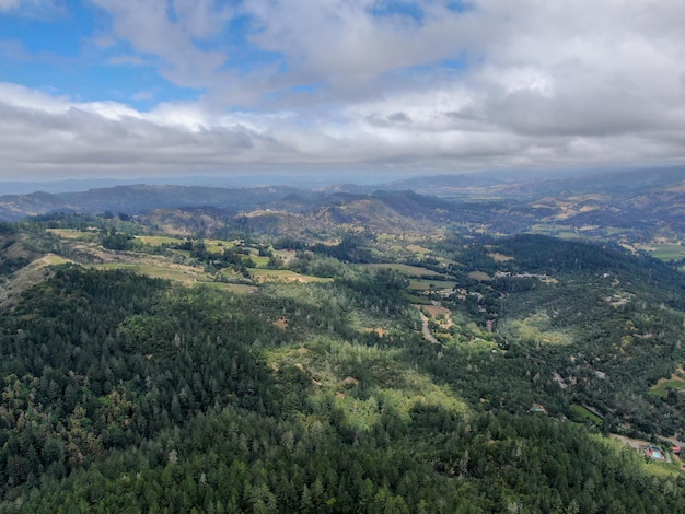 カリフォルニアのワインカントリーUSAのナパ郡の風景