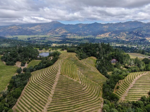 Napa Valley California's Wine Country, onderdeel van de North Bay-regio van de San Francisco Bay Area