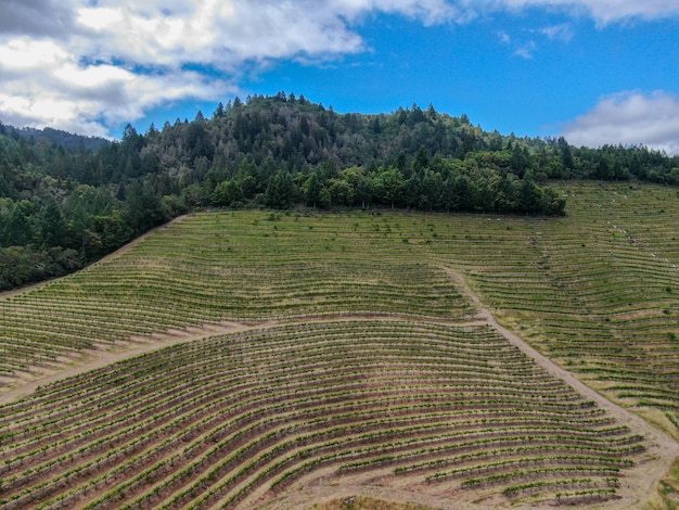 Napa Valley California's Wine Country, onderdeel van de North Bay-regio van de San Francisco Bay Area