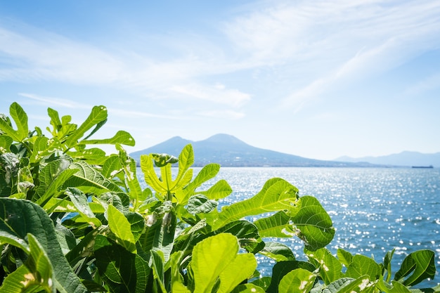 Napels, Campania, Italië. Uitzicht op de baai, de zee en de vulkaan Vesuvius