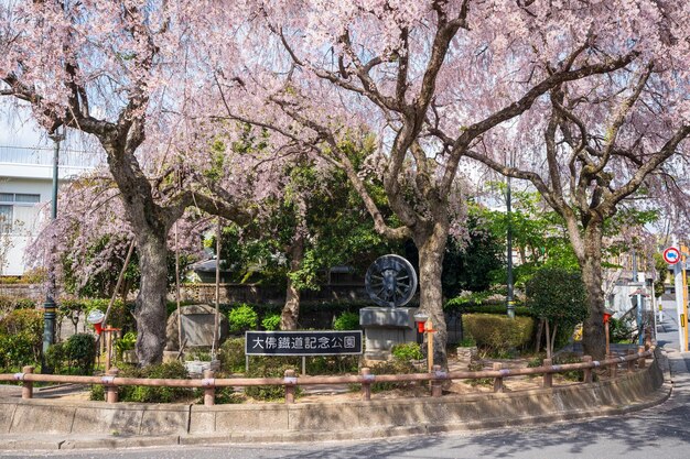 Nara Japan 2 april 2023 Daibutsu Railway Memorial Park Kersenbloesems in volle bloei