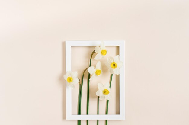 Narcis bloemen in een wit frame op een pastel beige achtergrond Plat leggen Het concept van een wenskaart voor moederdag vrouwendag verjaardag Pasen