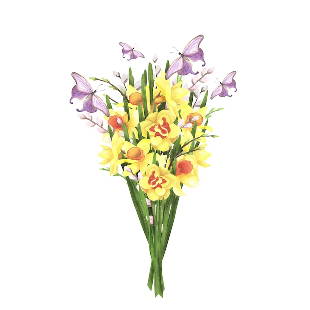 Narcis boeket met wilg en vlinder op wit Aquarel hand tekenen illustratie Kunst voor decoratie en design