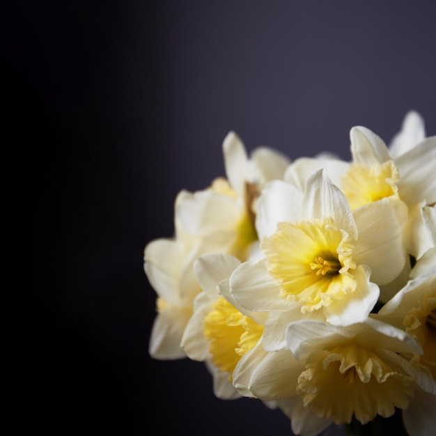 Narcissen boeket Lente gele narcissen bloemen in glazen vaas