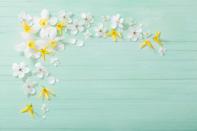 Narcissen en kersen bloemen op groene houten achtergrond