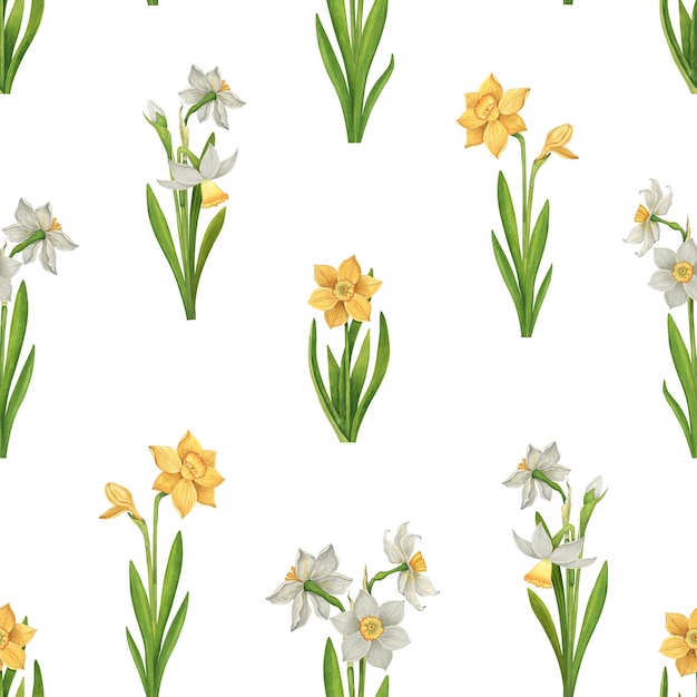 Narcissen naadloos waterverf patroon op een witte achtergrond eindeloos behang met tuinbloemen
