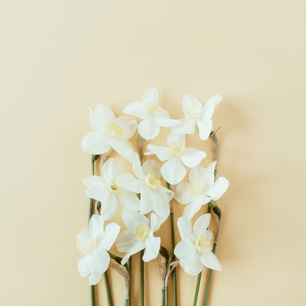 パステルで水仙の花