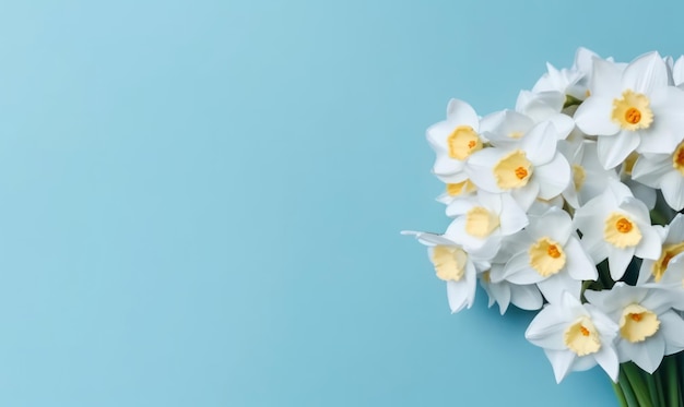 A narcissus flowers bouquet on a pastel blue background with empty copyspace Mother's Day concept Flat lay Created with generative AI tools