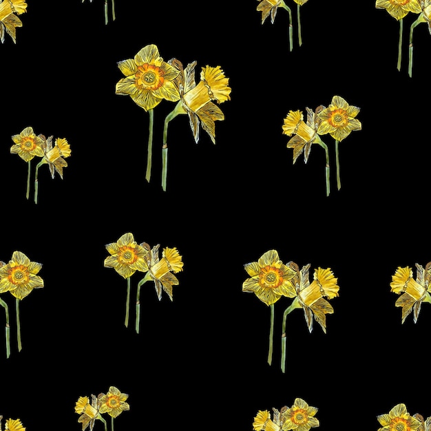 Narcissus seamless pattern bouquet. Hand drawn watercolor illustration. Isolated on black background