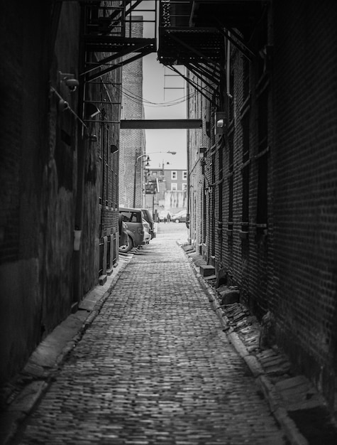 Narrow alley amidst buildings in city