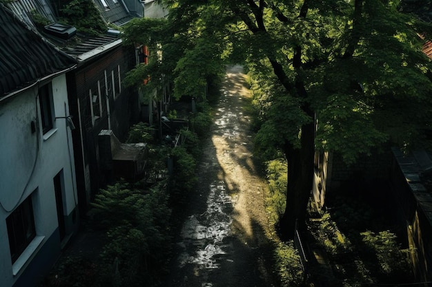 Photo a narrow alley with a tree in the middle of it