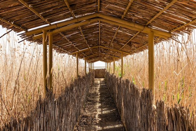 Narrow corridor in nature reserve