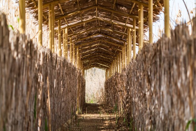 Narrow corridor in nature reserve