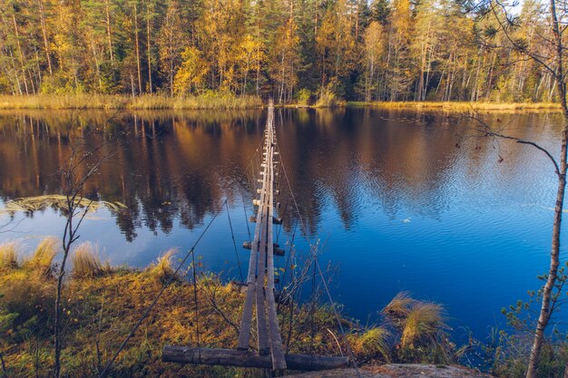 ロシア、カレリアの湖に架かる細長い木製の吊橋。川と森のストックフォトと美しい秋の季節の風景