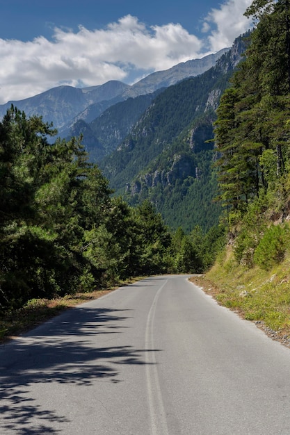 ギリシャの森の狭い山岳道路