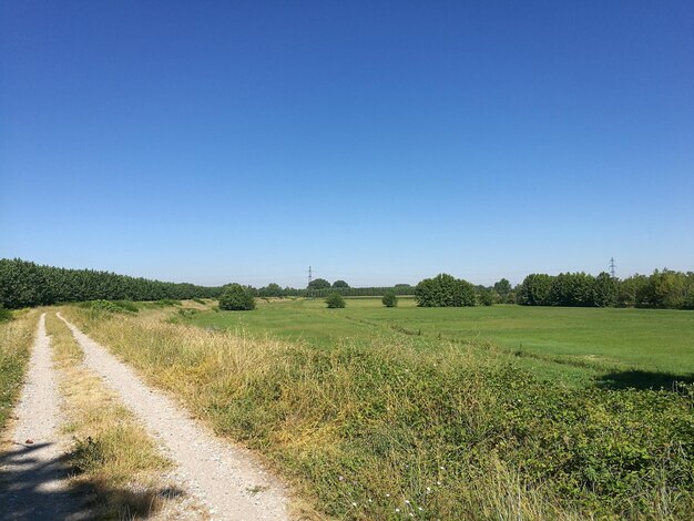 Narrow pathway along countryside landscape