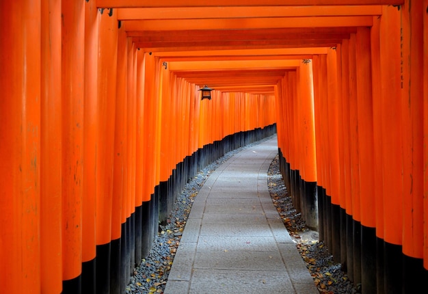 Photo narrow pathway along pillars