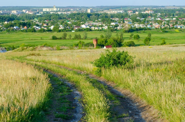 Narrow road for cars in a green field