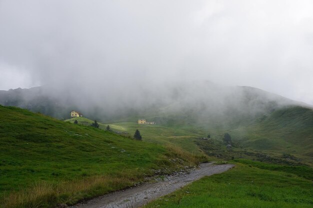 Narrow road in foggy weather