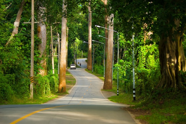 Narrow roads and curves at Chiang Dao District Chiang Mai Province Thailand