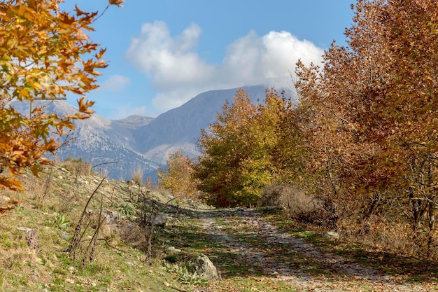 A narrow rural footpath in the mountains