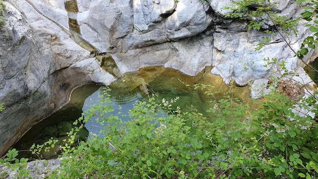 A narrow stream is running through some rocks and plants