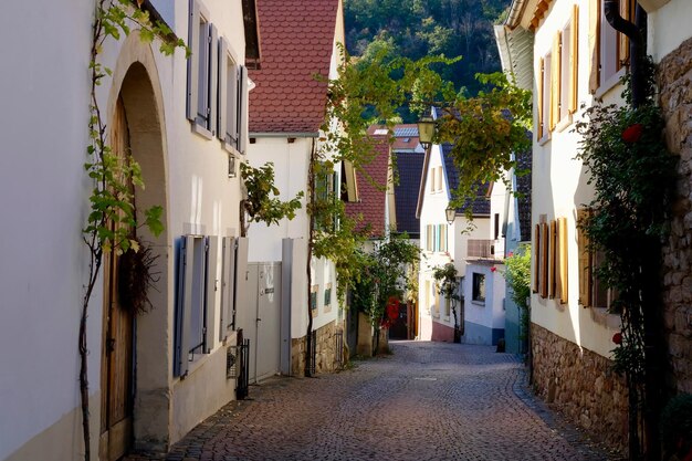 Narrow street amidst buildings in town