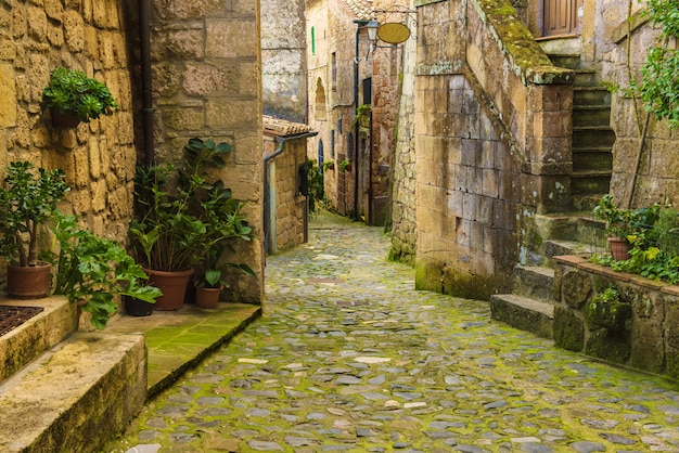 Narrow street of medieval ancient tuff city Sorano with green plants and cobblestone, travel Italy background