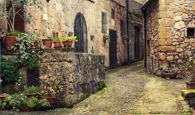 Narrow street of medieval ancient tuff city Sorano with green plants and cobblestone, travel Italy background